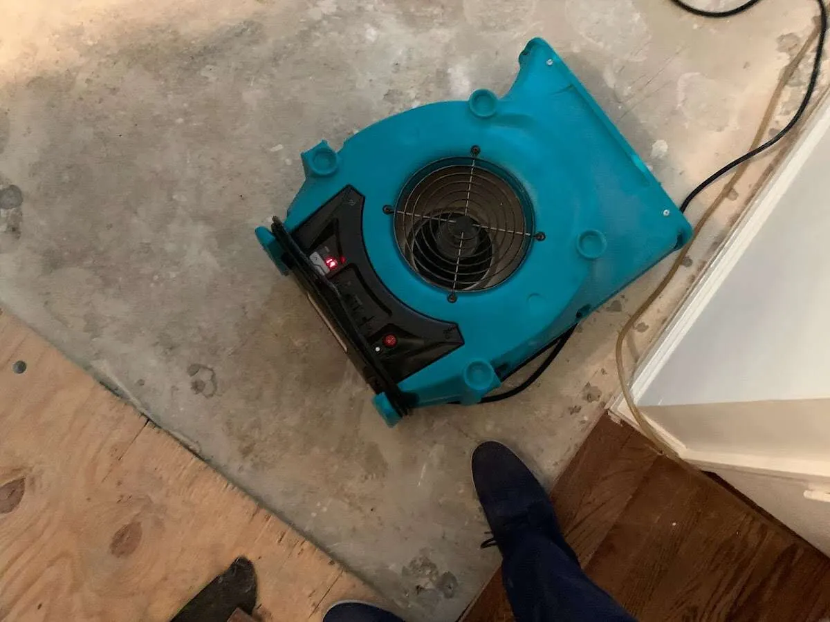 Air mover drying subfloor during Commercial Water Damage Restoration in Clarkson